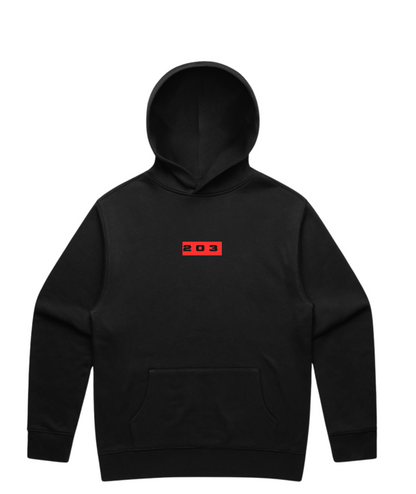 203 Hoodie